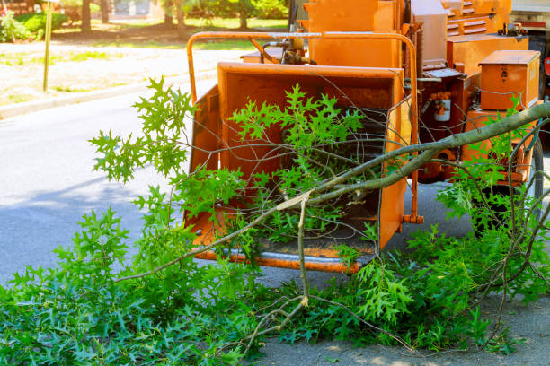 Best Tree Mulching  in Lake Telemark, NJ