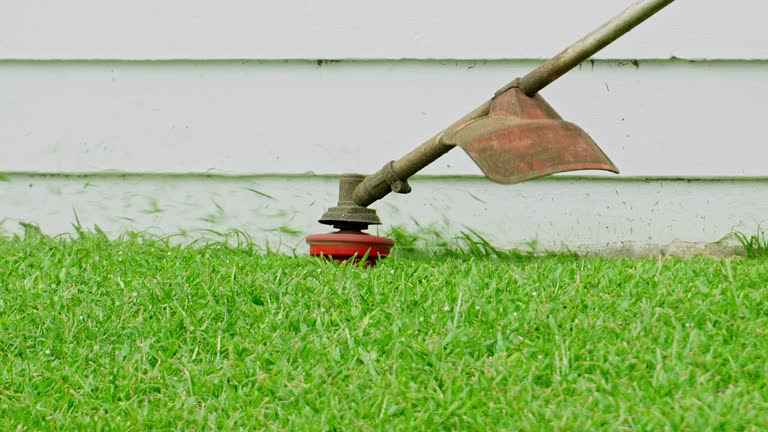 Best Lawn Drainage Solutions  in Lake Telemark, NJ